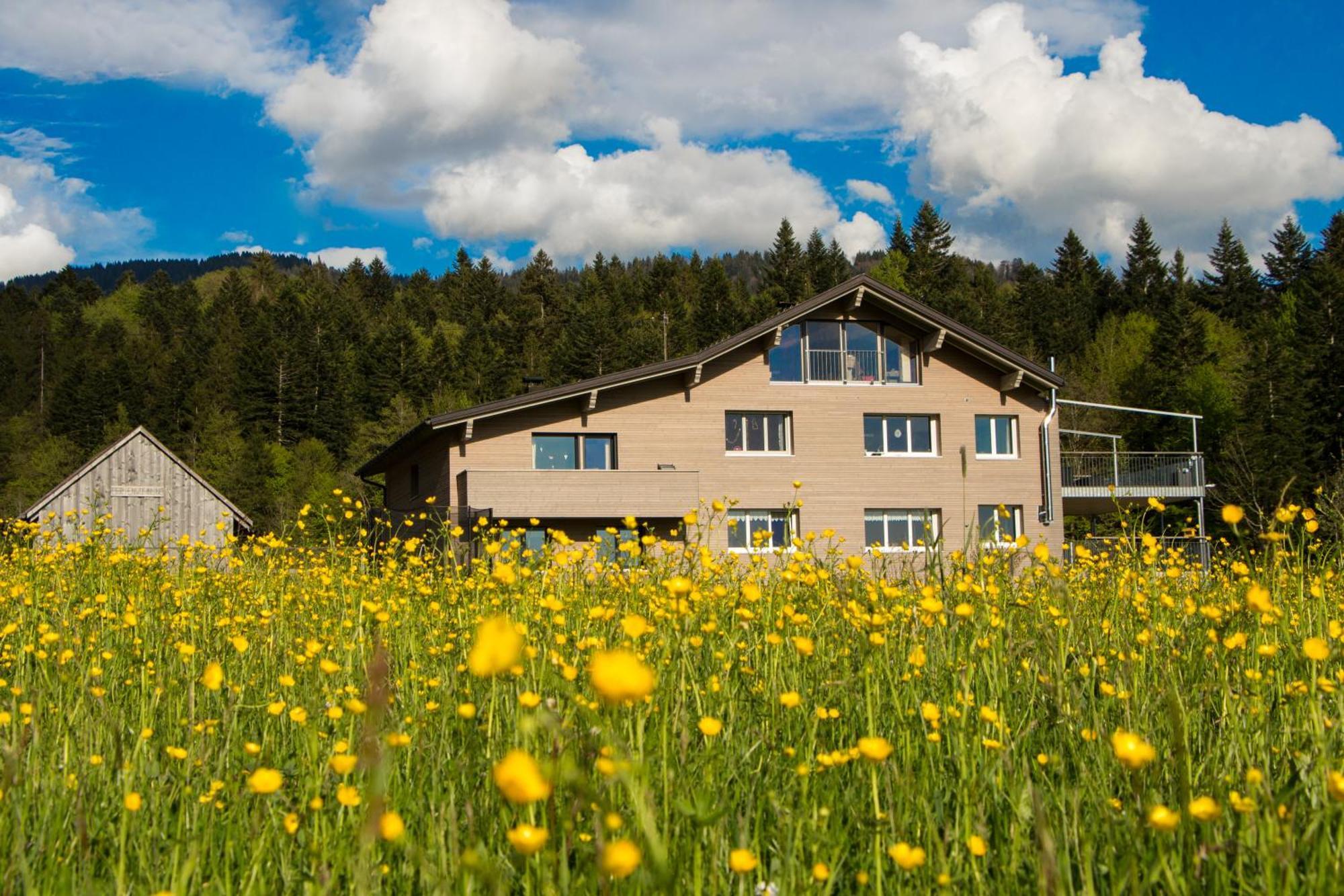ヒッティザウHaus Feursteinアパートメント エクステリア 写真