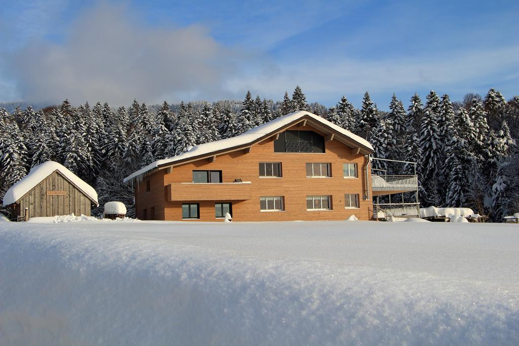 ヒッティザウHaus Feursteinアパートメント エクステリア 写真